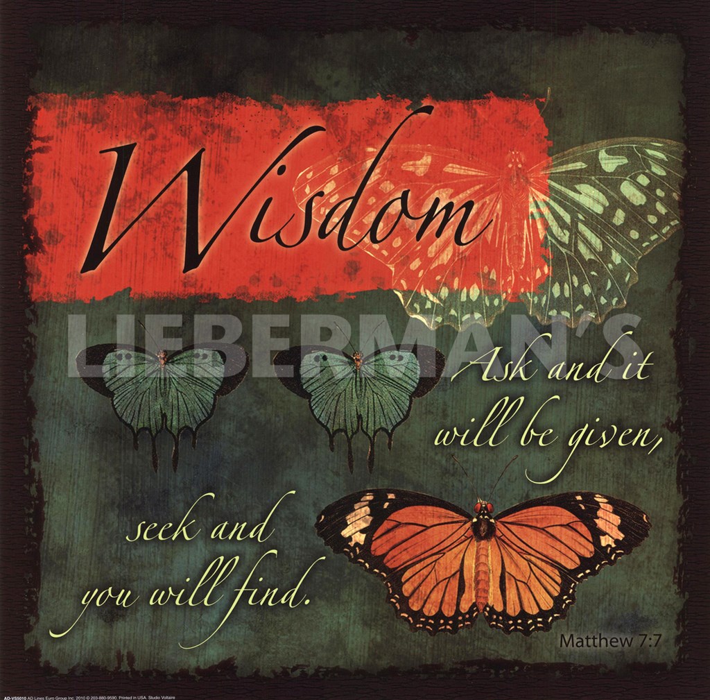 Butterfly Sentiments...Wisdom by Studio Voltaire This Butterfly